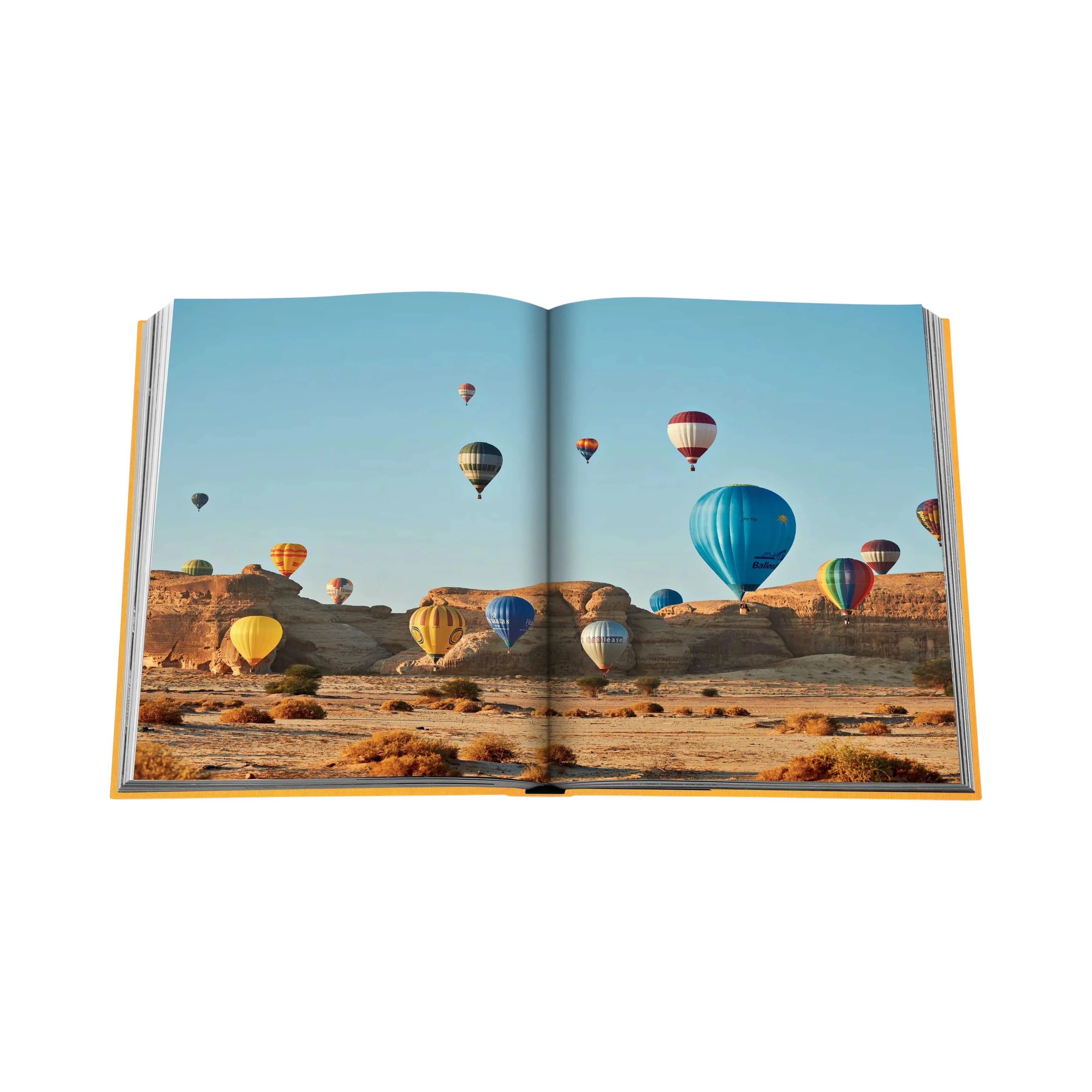 Miniatura 7