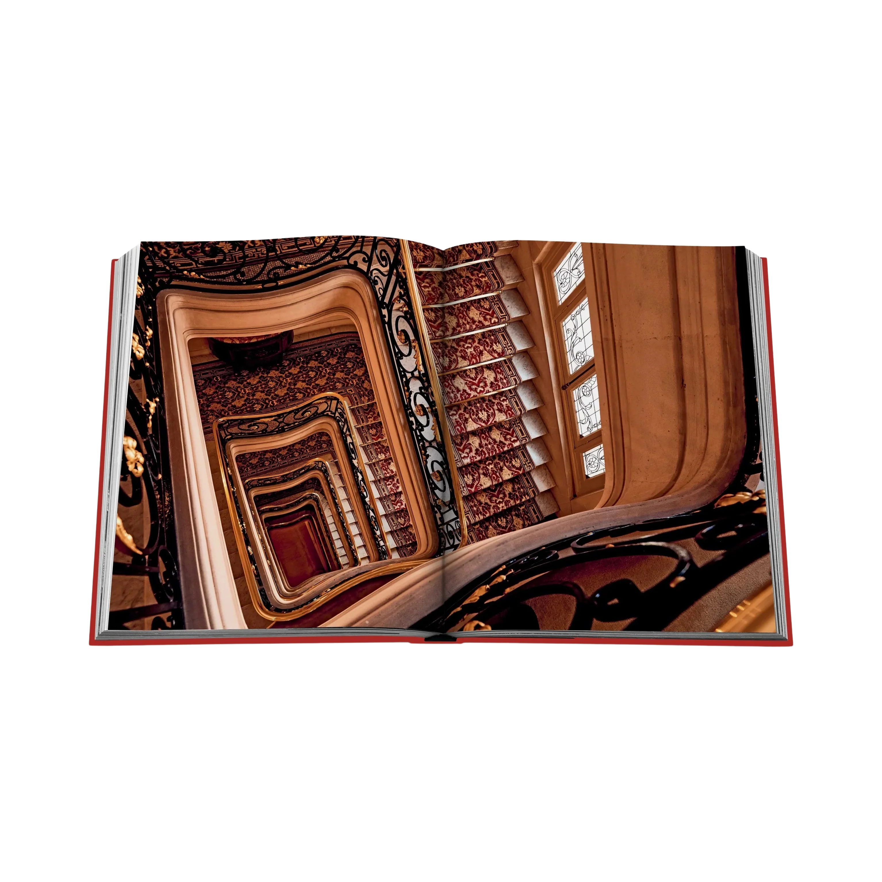 Miniatura 6