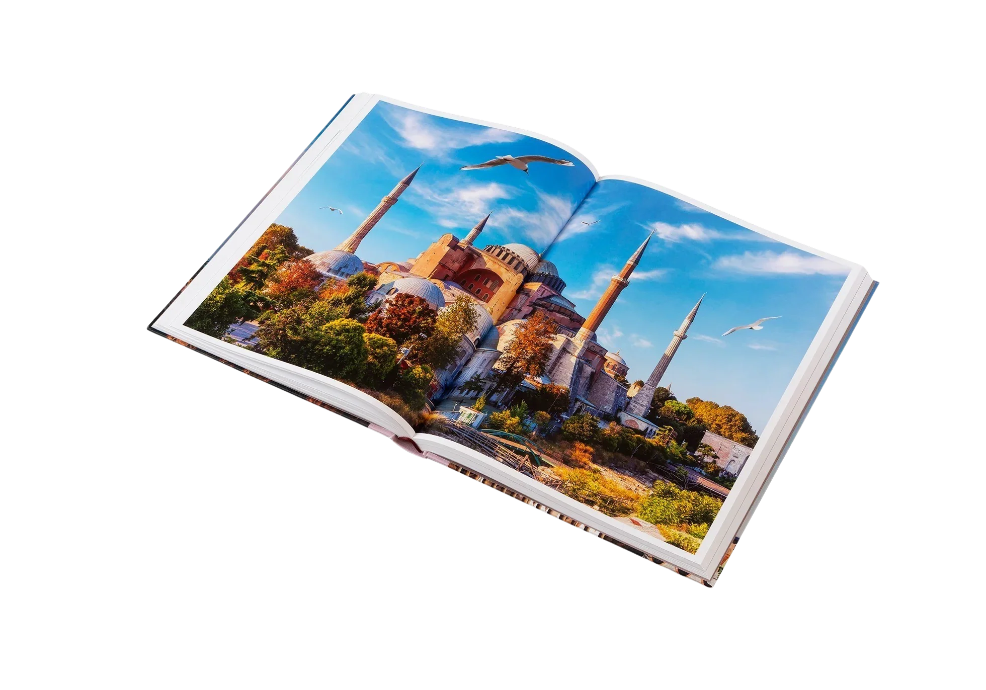 Miniatura 6